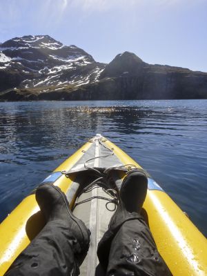 Hercules Bay, South Georgia Island 308.jpg